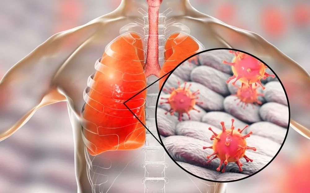 关于风云突变浙江稠州转会期完成体检，德国杯版图或变，引发热议，医务组通报恢复的信息-九游体育下载